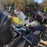 Timbo Radford 🏍🍷🥃🤤🍸🍾🏍 profil fotoğrafı