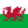 Cymru 🏴󠁧󠁢󠁷󠁬󠁳󠁿's profile picture