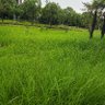 Фото профиля wlcsjllc