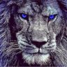 Scooter's profile picture