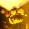 HDGOD's profile picture