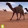 Фото профиля النداوي⚡️