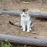 ぼん's profile picture