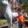 Michael Ackerman's profile picture