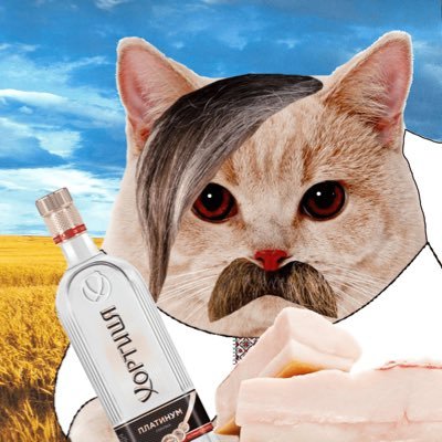 Bladeenko's profile picture