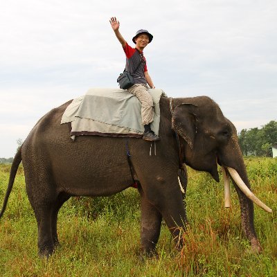 masasloth's profile picture