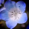 Profilbild von ใใชใค๊ค*.๏พ
