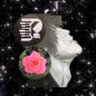 Profilbild von TMmomo*
