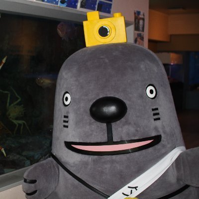 takesuiaquarium's profile picture