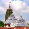 Subhasmita Acharya's profile picture