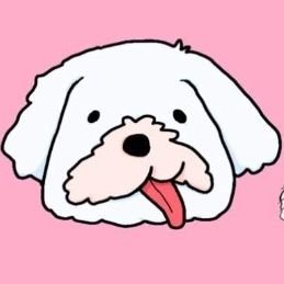 マルチーズのぼい家's profile picture