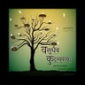 Navin Tantiya's profile picture