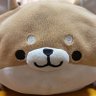 Profilbild von Bell