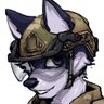 Profilbild von FoxahFelly 🔜 IWAG🖤