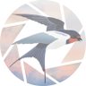 Profilbild von marutsubame