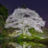 無量大数 profil fotoğrafı