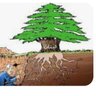 Youssef profil fotoğrafı