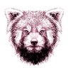 Profilbild von Aaron