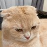 Фото профиля Babby