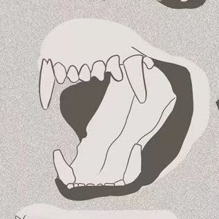 LRcom01's profile picture