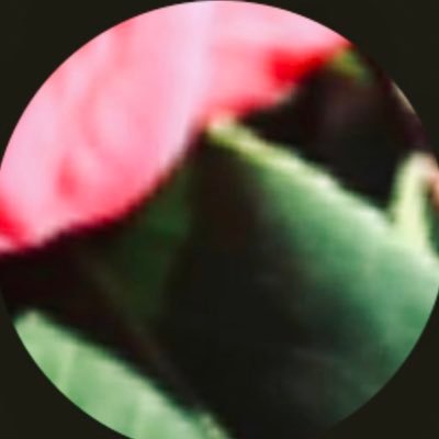 Tareixa_'s profile picture