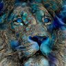 sissi ♌ profil fotoğrafı