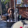 sidd fido .. profil fotoğrafı