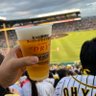 阪神しか勝たん🐯 profil fotoğrafı
