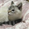 Фото профиля あきら