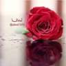المتفائلة profil fotoğrafı