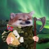 Truls 🇳🇴 🇺🇦🦈's profile picture