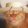 Fewar's profile picture