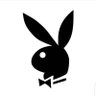لا's profile picture