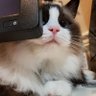 Profilbild von Willow