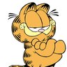 Profilbild von garfield