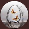 𝓐𝓷𝓭𝓻𝓮's profile picture