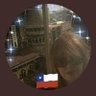 Ivonne Larraín profil fotoğrafı