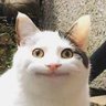 ぽちょぽちょムキムキン profil fotoğrafı
