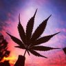 Jhonatan's profile picture