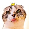 おはぎ🦉 profil fotoğrafı
