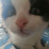 ken's profile picture