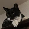 こーさん 的头像