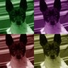 Profilbild von Steve Fearn