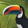 toucan 的头像