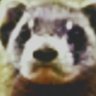 Mendy Ghost 0's profile picture
