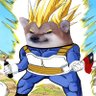 玥天 \🇫🇷\ 🇺🇦✊🇹🇼 \ SaiyanFella's profile picture