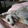 Profilbild von Ginny