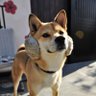 6太郎's profile picture