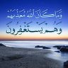 أبونبيل 的头像