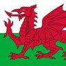 Phil o Malley's profile picture